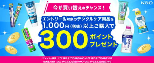 【花王】エントリー&対象商品購入　300ポイントプレゼントキャンペーン！【3/20まで】