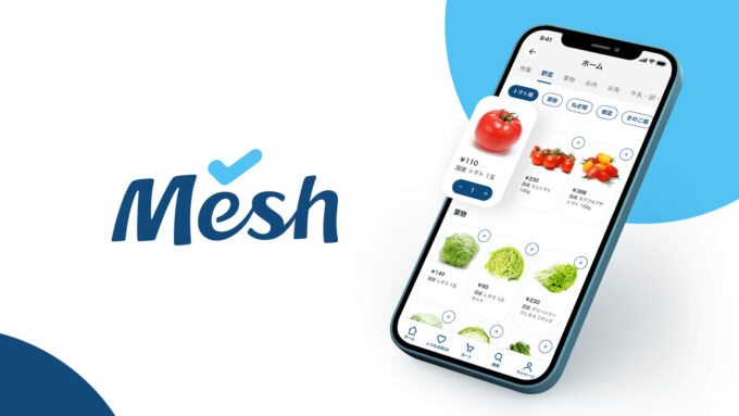 mesh (1)